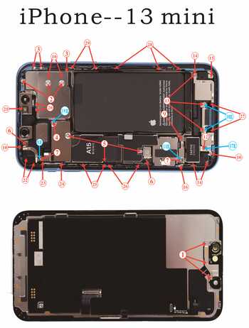 家電 :: iPhone13 miniネジ フルセット 交換部品 Y字ネジ 星形 ボトム ネジ 修理 分解 紛失予備用 互換品 k10000060